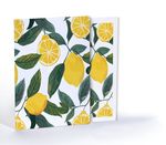 Limon Deseni, A4 Poster (GGK-PT018)