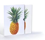 Ananas Çizimi, A4 Poster (GGK-PT002)