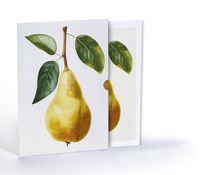 Ayva Çizimi, A4 Poster (GGK-PT003)