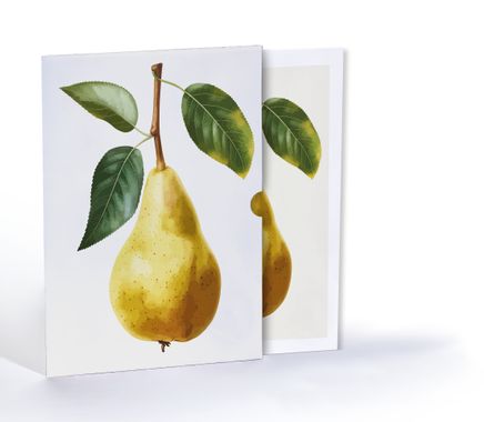 Ayva Çizimi, A4 Poster (GGK-PT003)