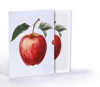 Elma Çizimi, A4 Poster (GGK-PT005)