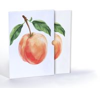 Kayısı Çizimi, A4 Poster (GGK-PT007)