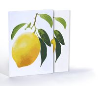 Limon Çizimi, A4 Poster (GGK-PT008) 