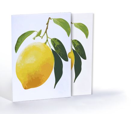 Limon Çizimi, A4 Poster (GGK-PT008) 