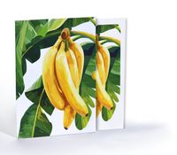 Muz Çizimi, A4 Poster (GGK-PT009) 