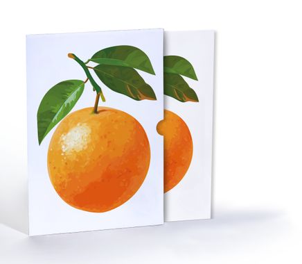 Portakal Çizimi, A4 Poster (GGK-PT010)