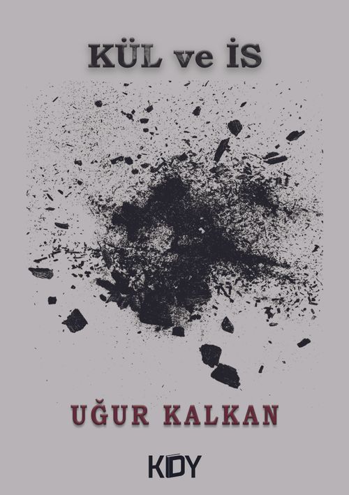 Kül ve İs