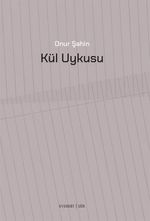 Kül Uykusu