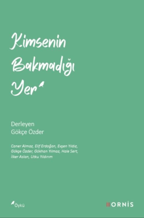 Kimsenin Bakmadığı Yer