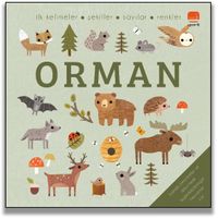 Say Bul Eğlen / Orman