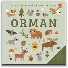 Say Bul Eğlen / Orman