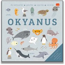 Say Bul Eğlen / Okyanus