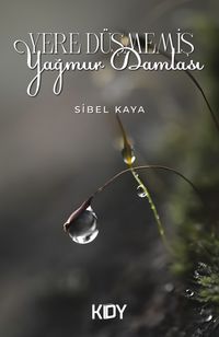 Yere Düşmemiş Yağmur Damlası 