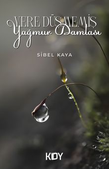Yere Düşmemiş Yağmur Damlası 