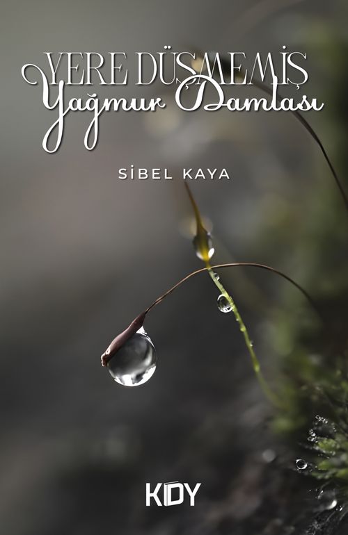 Yere Düşmemiş Yağmur Damlası