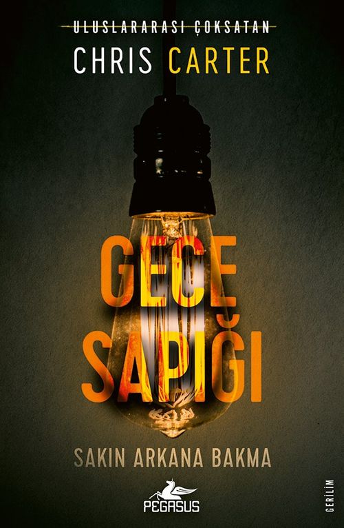 Gece Sapığı / Robert Hunter 3