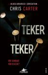 Teker Teker / Robert Hunter 5