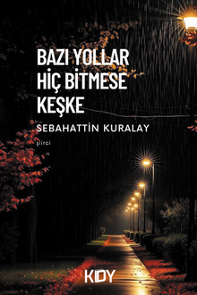 Bazı Yollar Hiç Bitmese Keşke
