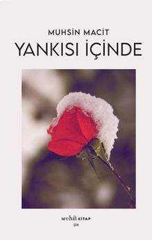 Yankısı İçinde