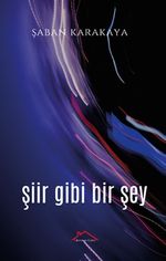 Şiir Gibi Bir Şey