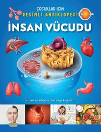 İnsan Vücudu / Çocuklar İçin Resimli Ansiklopedi