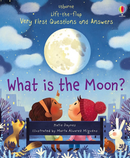 Ltf Very First Q&A What Is The Moon?