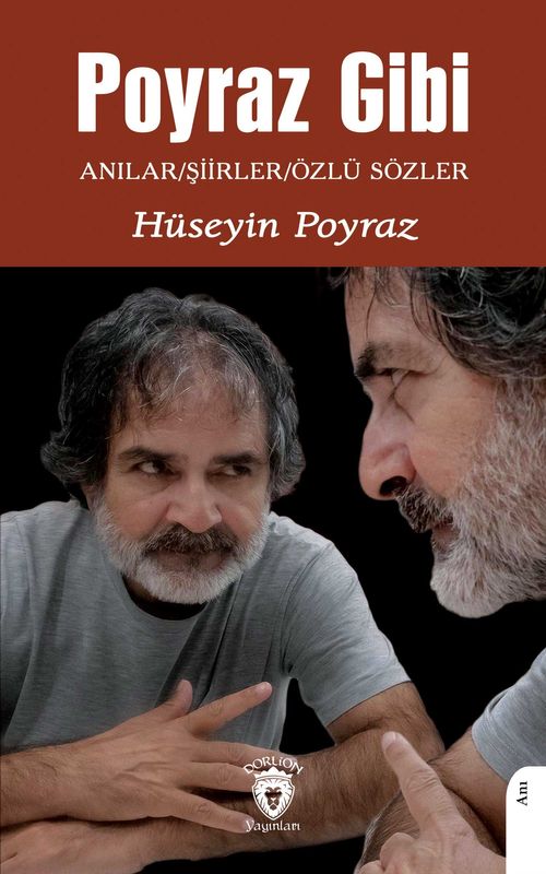 Poyraz Gibi