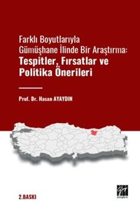 Farklı Boyutlarıyla Gümüşhane İlinde Bir Araştırma Tespitler