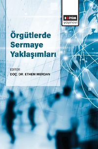 Örgütlerde Sermaye Yaklaşımları