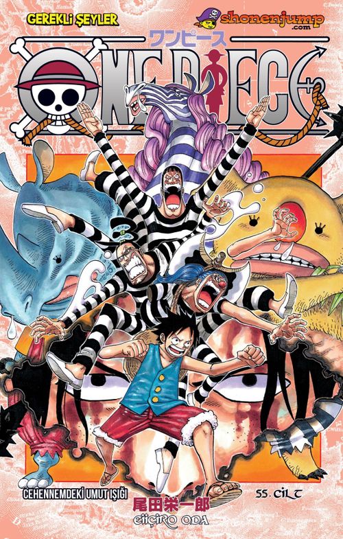 One Piece 55. Cilt / Cehennemdeki Umut Işığı (Eiiçiro Oda) Fiyatı