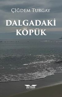 Dalgadaki Köpük