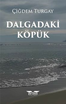 Dalgadaki Köpük