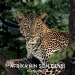 Afrika'nın Son Dansı