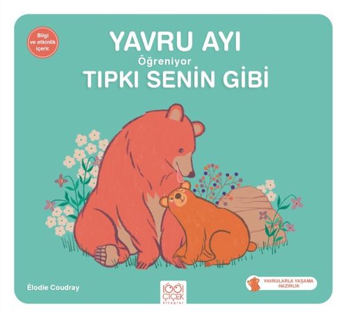 Yavru Ayı Öğreniyor Tıpkı Senin Gibi 