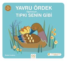 Yavru Ördek Öğreniyor Tıpkı Senin Gibi