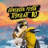 G&uuml;vercin Posta Teşkilatı 10