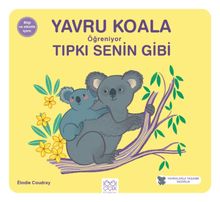 Yavru Koala Öğreniyor Tıpkı Senin Gibi