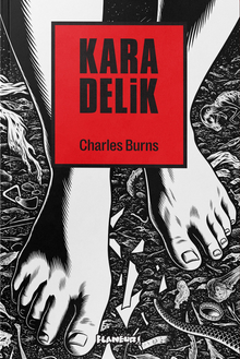 Kara Delik - Black Hole
