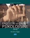 End&uuml;stri ve &Ouml;rg&uuml;t Psikolojisine Giriş