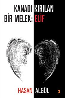 Kanadı Kırılan Bir Melek: Elif
