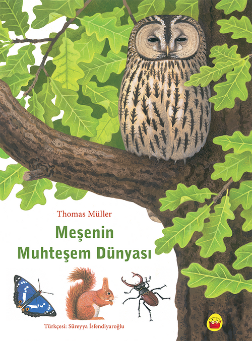 Muhteşem Meşe'nin Dünyası