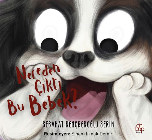 Nereden Çıktı Bu Bebek?