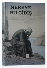 Nereye Bu Gidiş