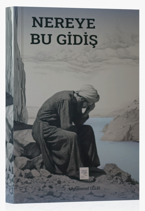 Nereye Bu Gidiş