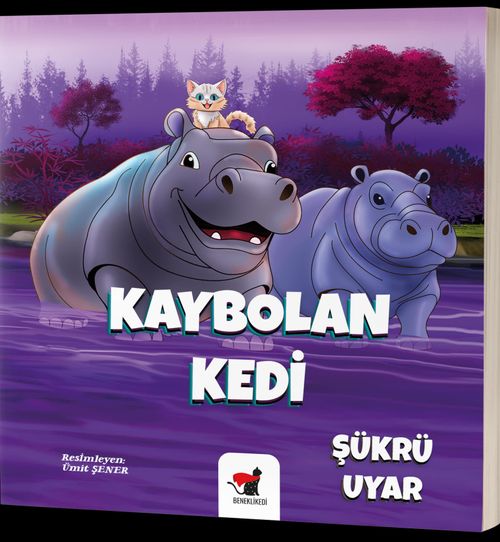 Kaybolan Kedi