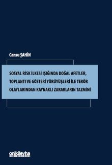 Sosyal Risk İlkesi Işığında Doğal Afetler, Toplantı ve Gösteri Yürüyüşleri ile Terör Olaylarından Kaynaklı Zararların Tazmini