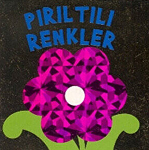 Pırıltılı Küçük Kitaplar - Renkler