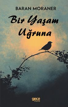 Bir Yaşam Uğruna