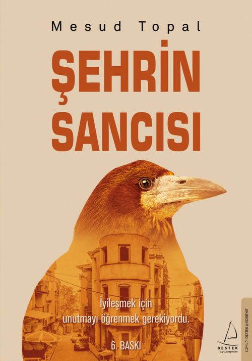 Şehrin Sancısı