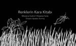 Renklerin Kara Kitabı